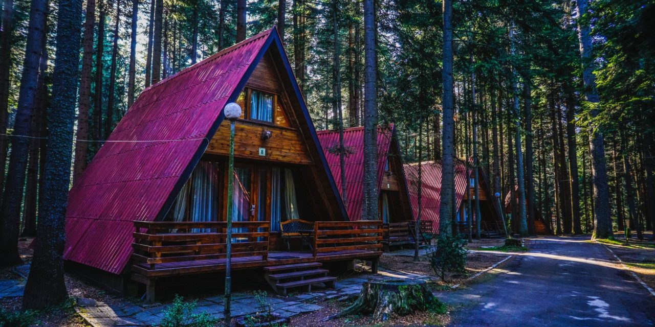 Вили JAGODA / MALINA