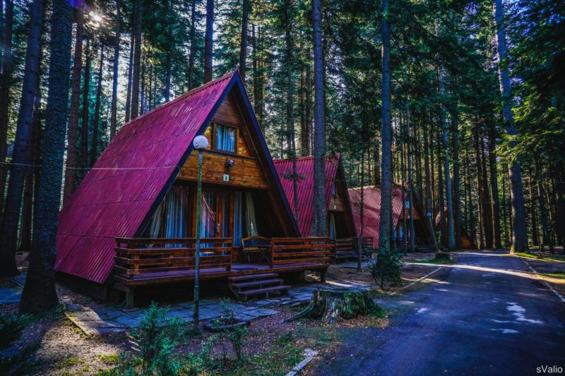 Вили JAGODA / MALINA