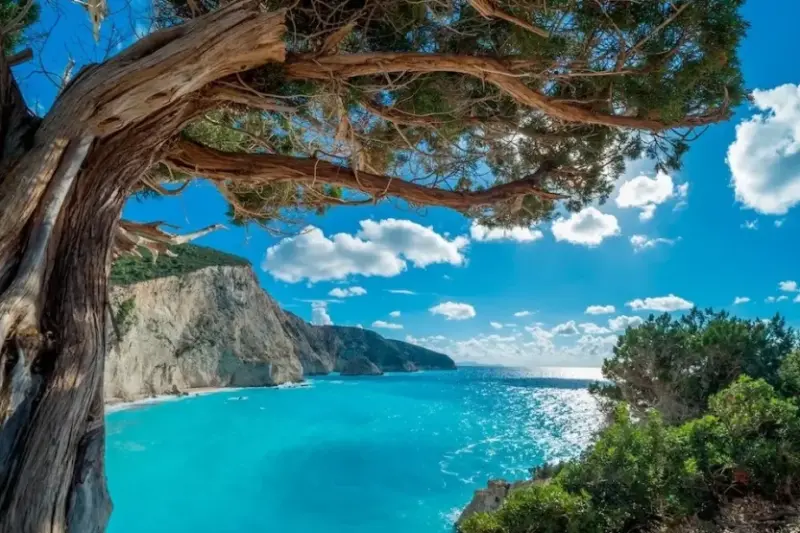 Вила Армониа – Катизма